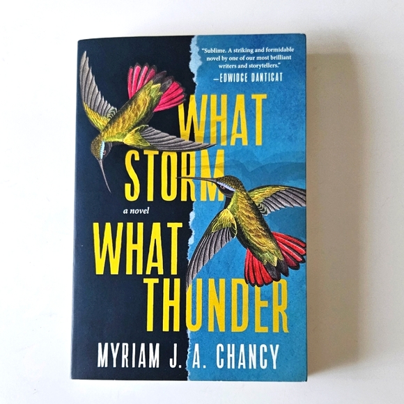 What Storm What Thunder novel by Myriam J. A. Chancy - Picture 1 of 5